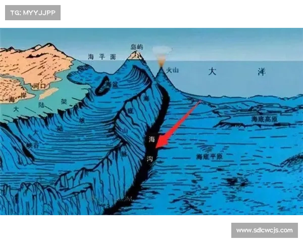 荒谬死亡案例分析与深刻教训启示探索人类安全意识的重要性 荒谬死亡案例分析与深刻教训启示探索人类安全意识的重要性